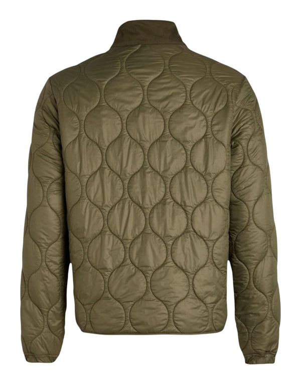 7086-CB OLIVE quilted jacket 7086-CB OLIVE Manifattura Ceccarelli