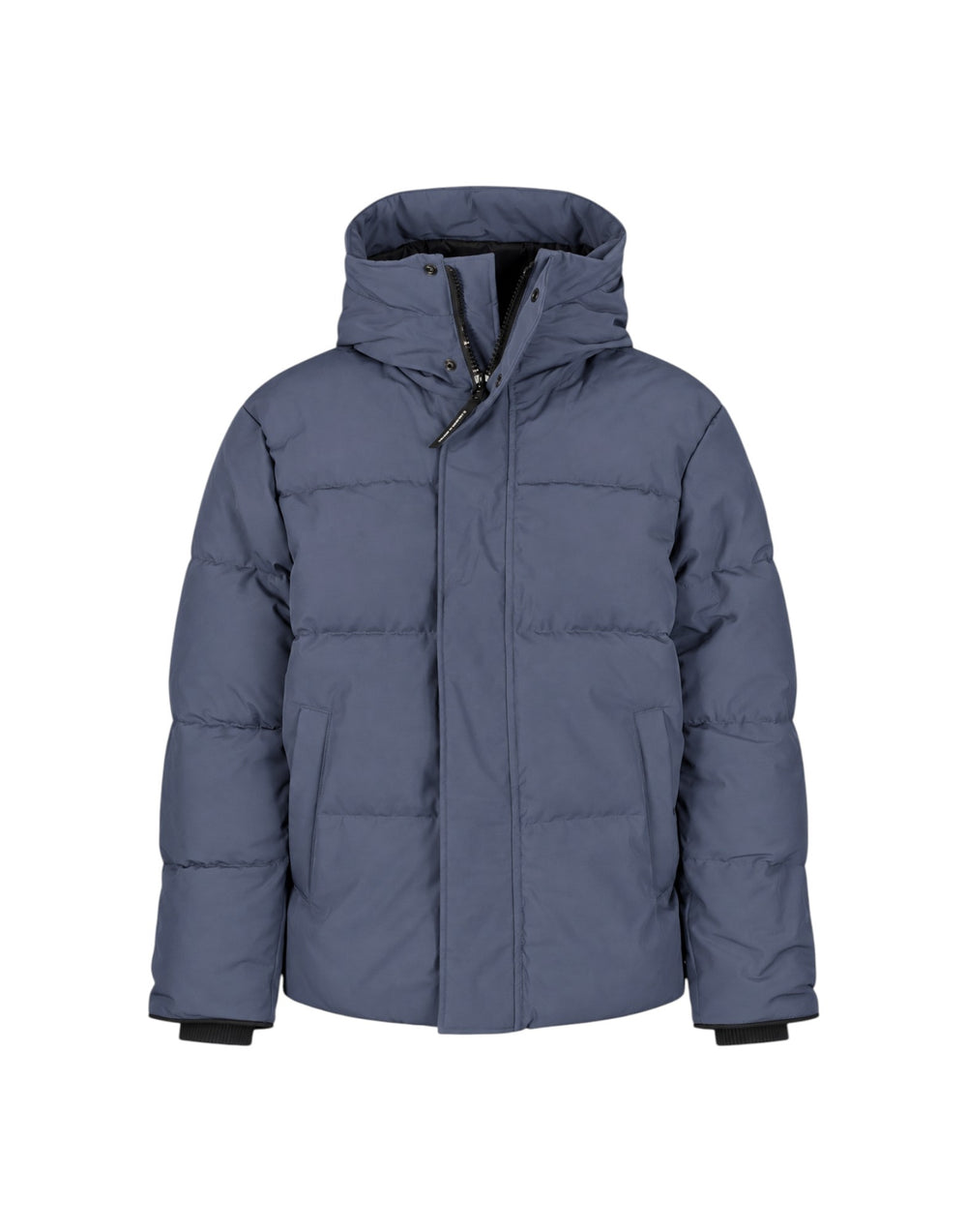 1743MB 9128  1743MB 9128 Canada Goose 