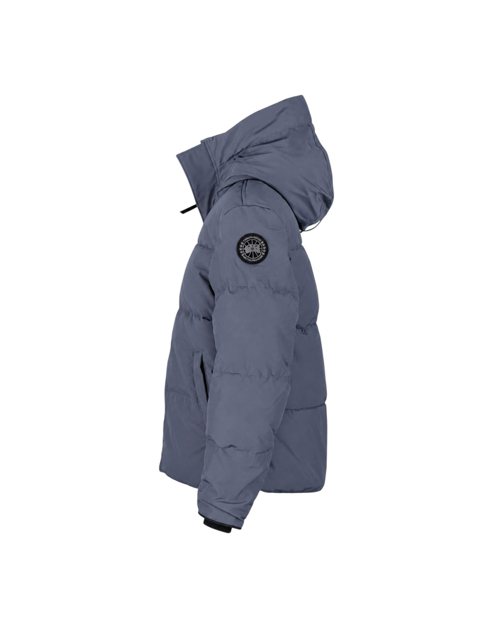1743MB 9128  1743MB 9128 Canada Goose 