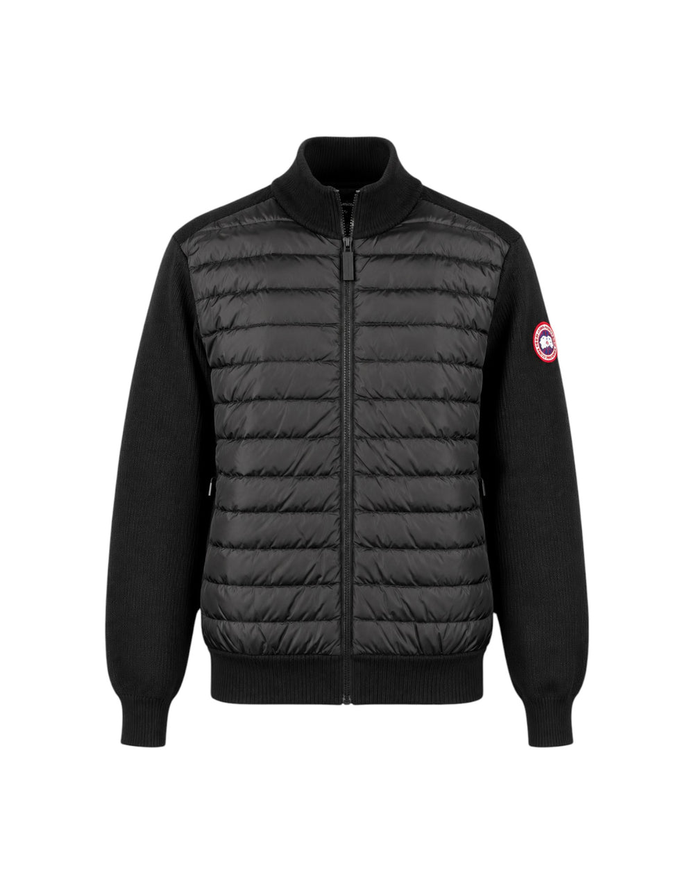 6830M 9061  6830M 9061 Canada Goose 