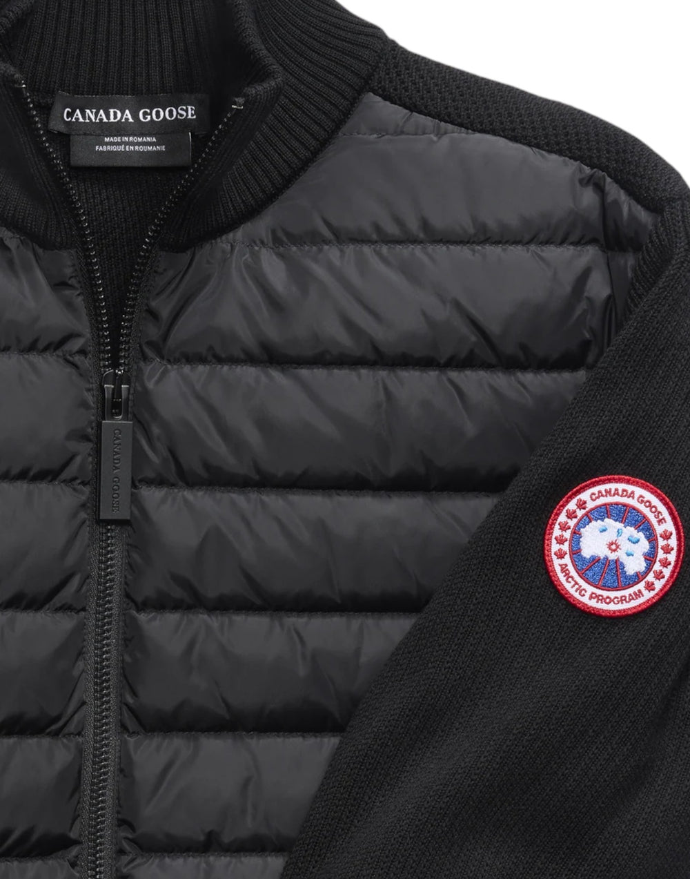 6830M 9061  6830M 9061 Canada Goose 