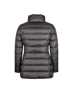 2201-2YO 99  2201-2YO 99 Colmar 