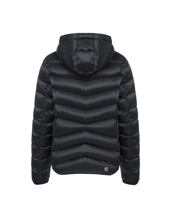 2219-2YO 99  2219-2YO 99 Colmar 