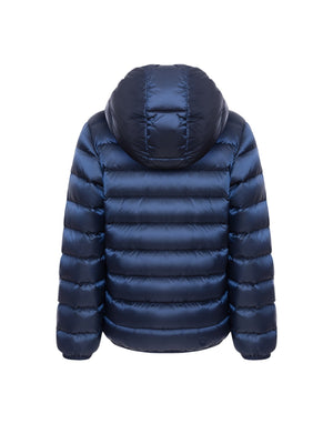 3407-2YO 68  3407-2YO 68 Colmar 