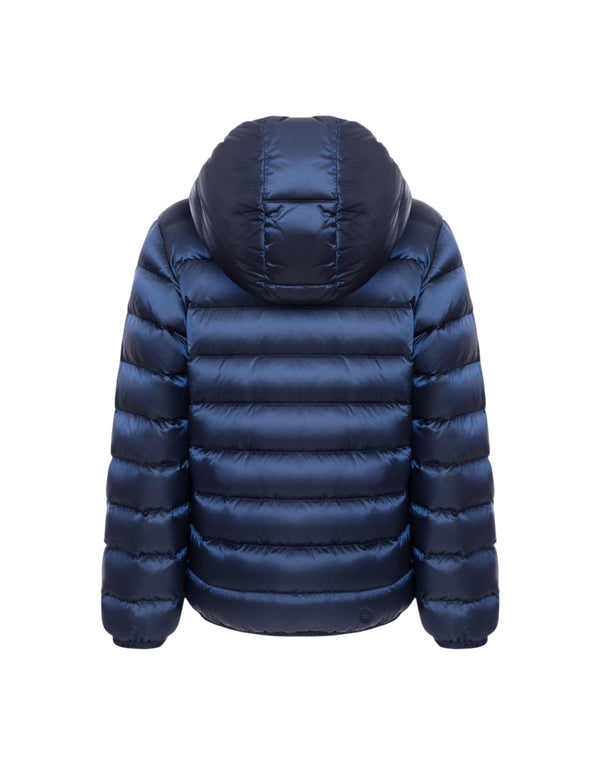 3407-2YO 68  3407-2YO 68 Colmar 
