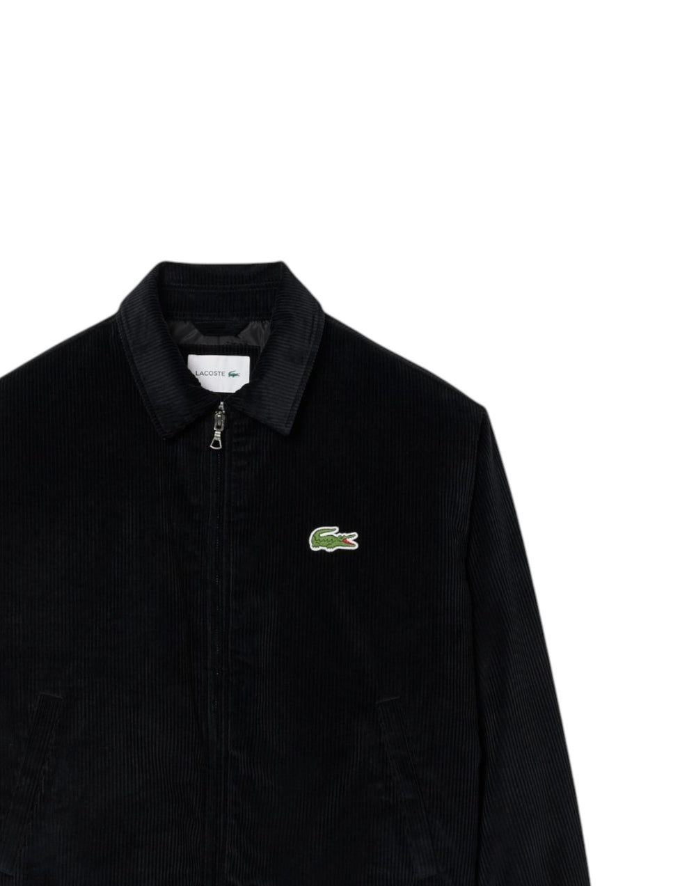 BH2994 031 Bomber imbottito BH2994 031 Lacoste 