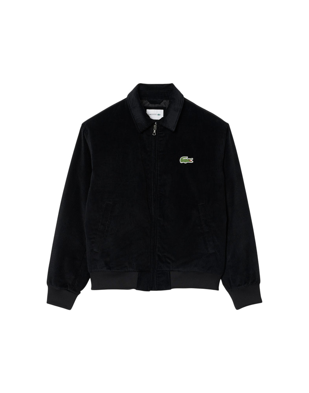 BH2994 031 Bomber imbottito BH2994 031 Lacoste 