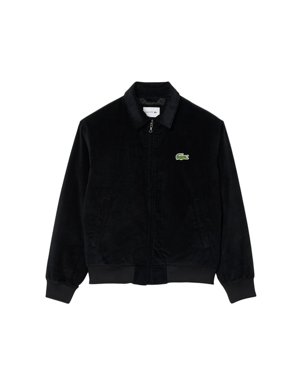 BH2994 031 Bomber imbottito BH2994 031 Lacoste 