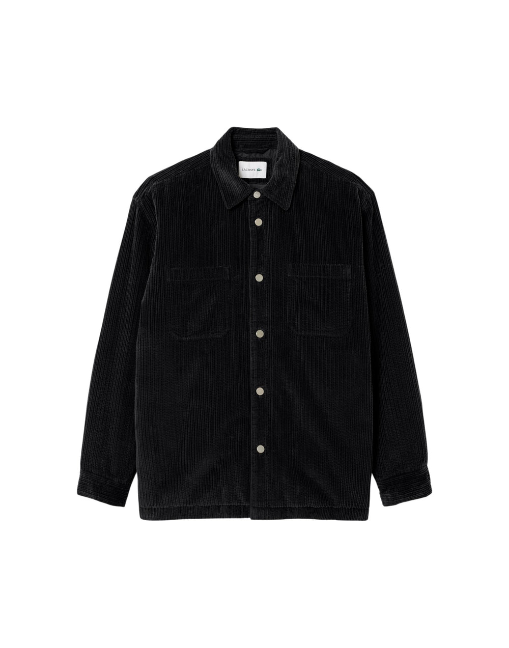 CH8840 031  CH8840 031 Lacoste 