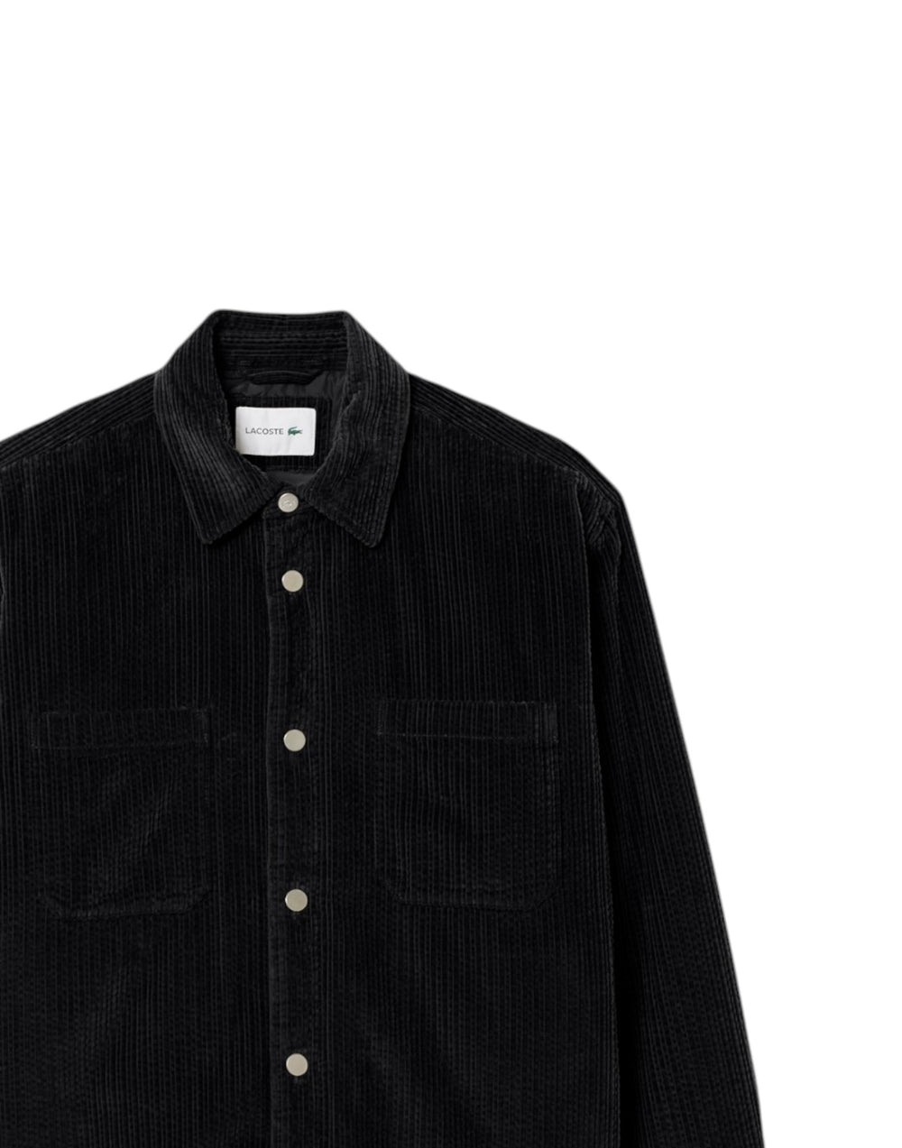 CH8840 031  CH8840 031 Lacoste 