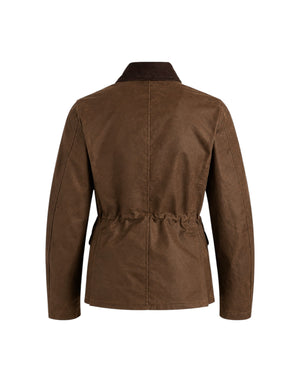 W8628W-WX DARK TAN Giubbotto  Alligator Jacket W8628W-WX DARK TAN Manifattura Ceccarelli 
