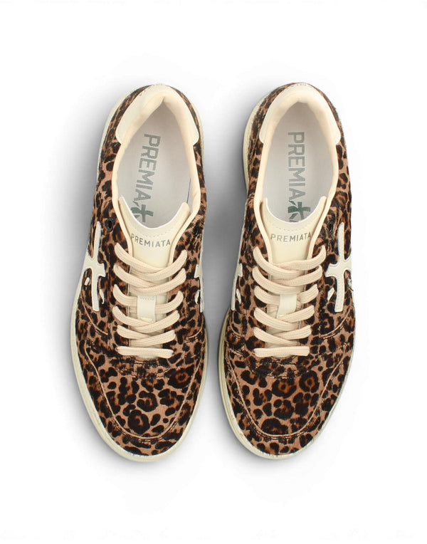 MICOL 7034  MICOL 7034 Premiata 