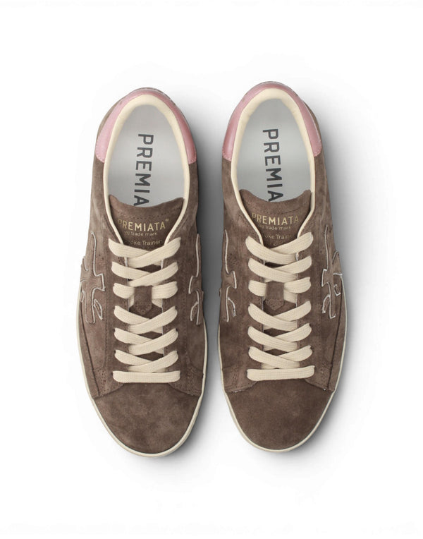 STEVEND 8485  STEVEND 8485 Premiata 
