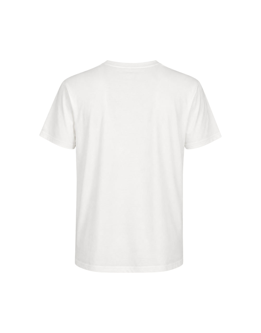 TCUTS0003 CAVALLI 002 T-shirt Piazza Cavalli TCUTS0003 CAVALLI 002 Australian 