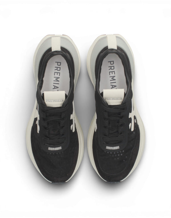 HILL VAR 8241 8241 Hill 8241 HILL VAR 8241 8241 Premiata 