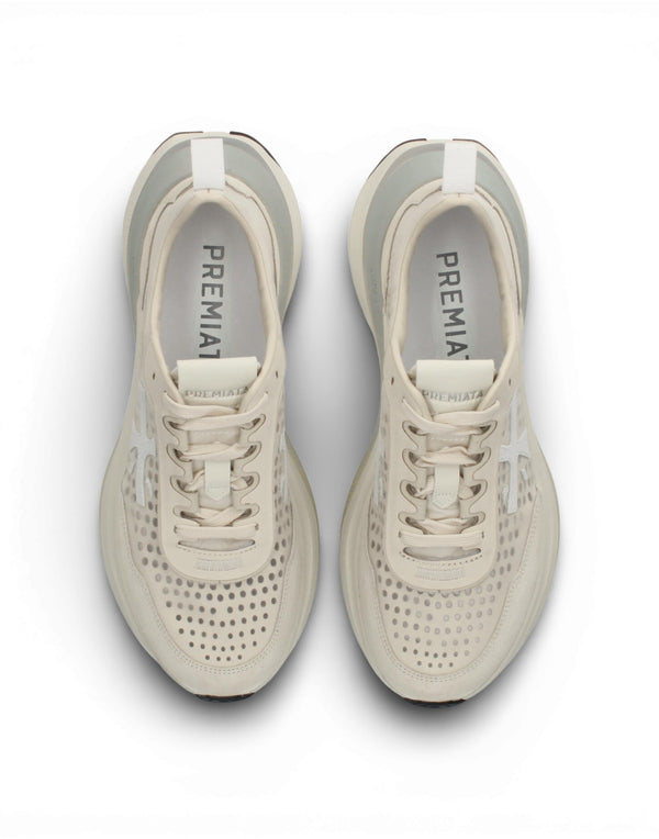 HILL VAR 8242 8242 Hill 8242 HILL VAR 8242 8242 Premiata 
