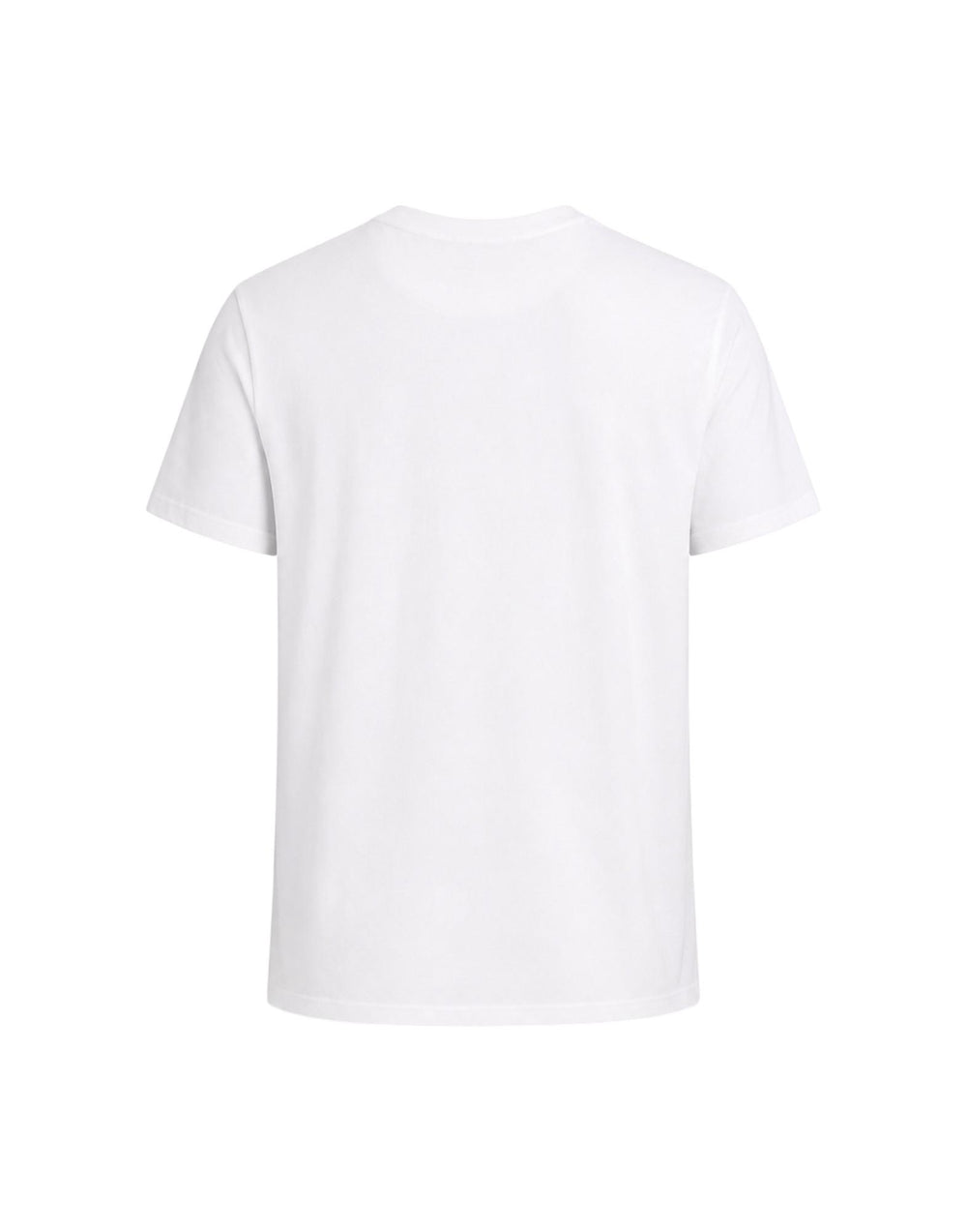 IRQ236021904 100 T-shirt regular fit IRQ236021904 100 Harmont & Blaine 
