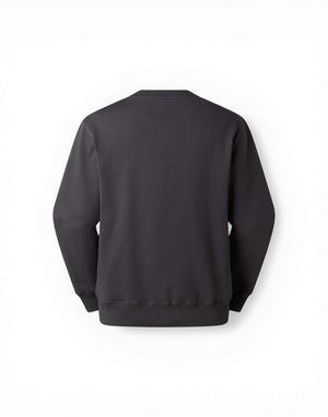 The North Face Essential Light Relaxed Felpa girocollo uomo grigio immagine 2