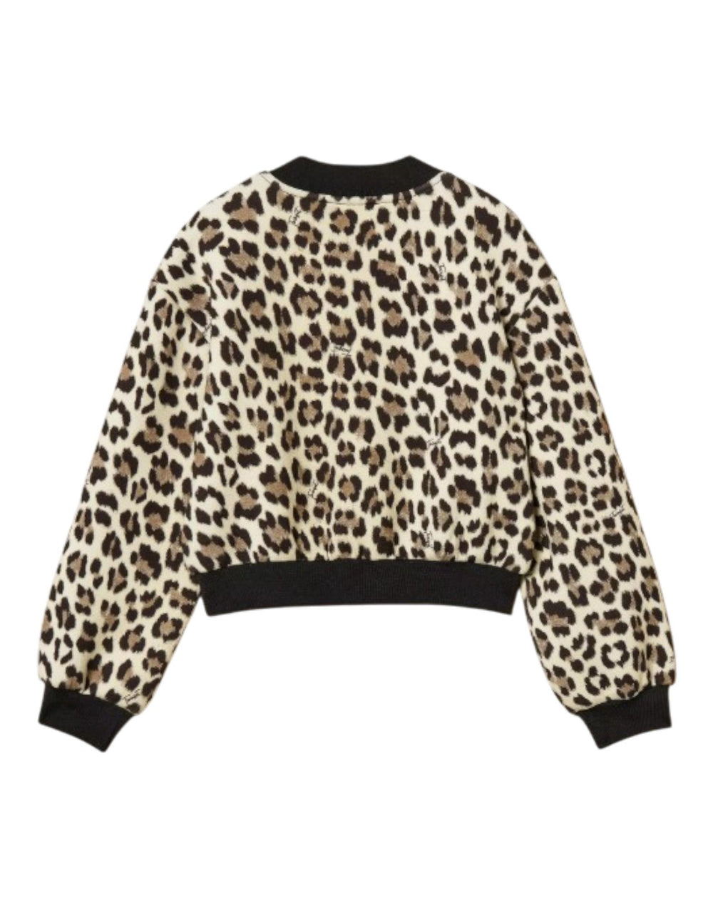 252GJ2023 12700 Bomber in scuba 252GJ2023 12700 Twinset 