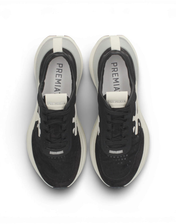 HILL VAR 8241 8241 Hill 8241 HILL VAR 8241 8241 Premiata 