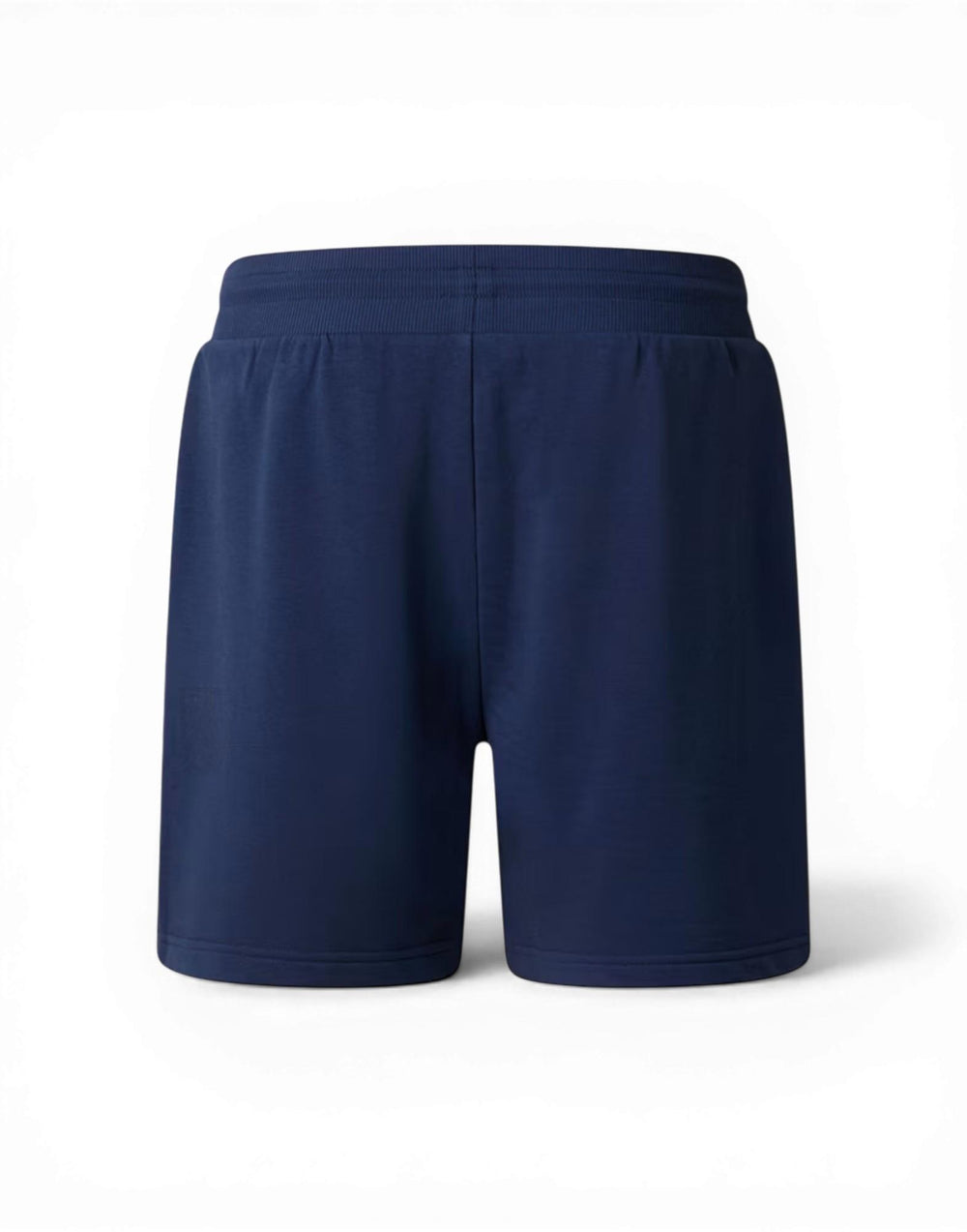 NF0A8GQB 8K21 Simple Dome Light Regular Shorts NF0A8GQB 8K21 The North Face 
