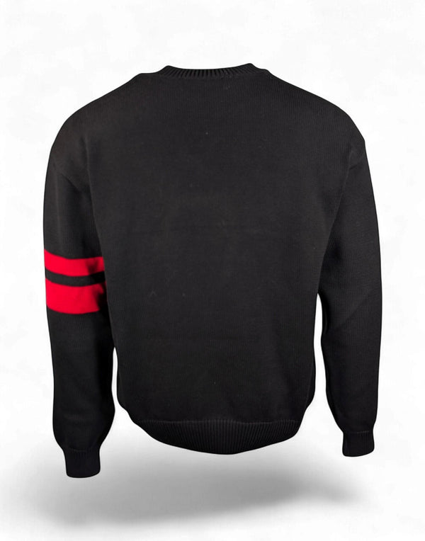 Z0MWQF151K106 999R LOGO REGULAR LS CREWNECK Z0MWQF151K106 999R GCDS 