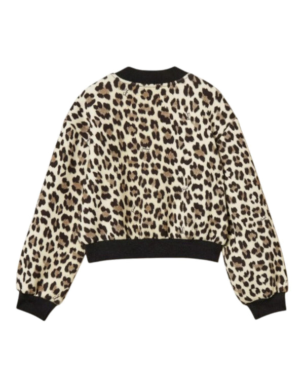 252GJ2023 12700 Bomber in scuba 252GJ2023 12700 Twinset 