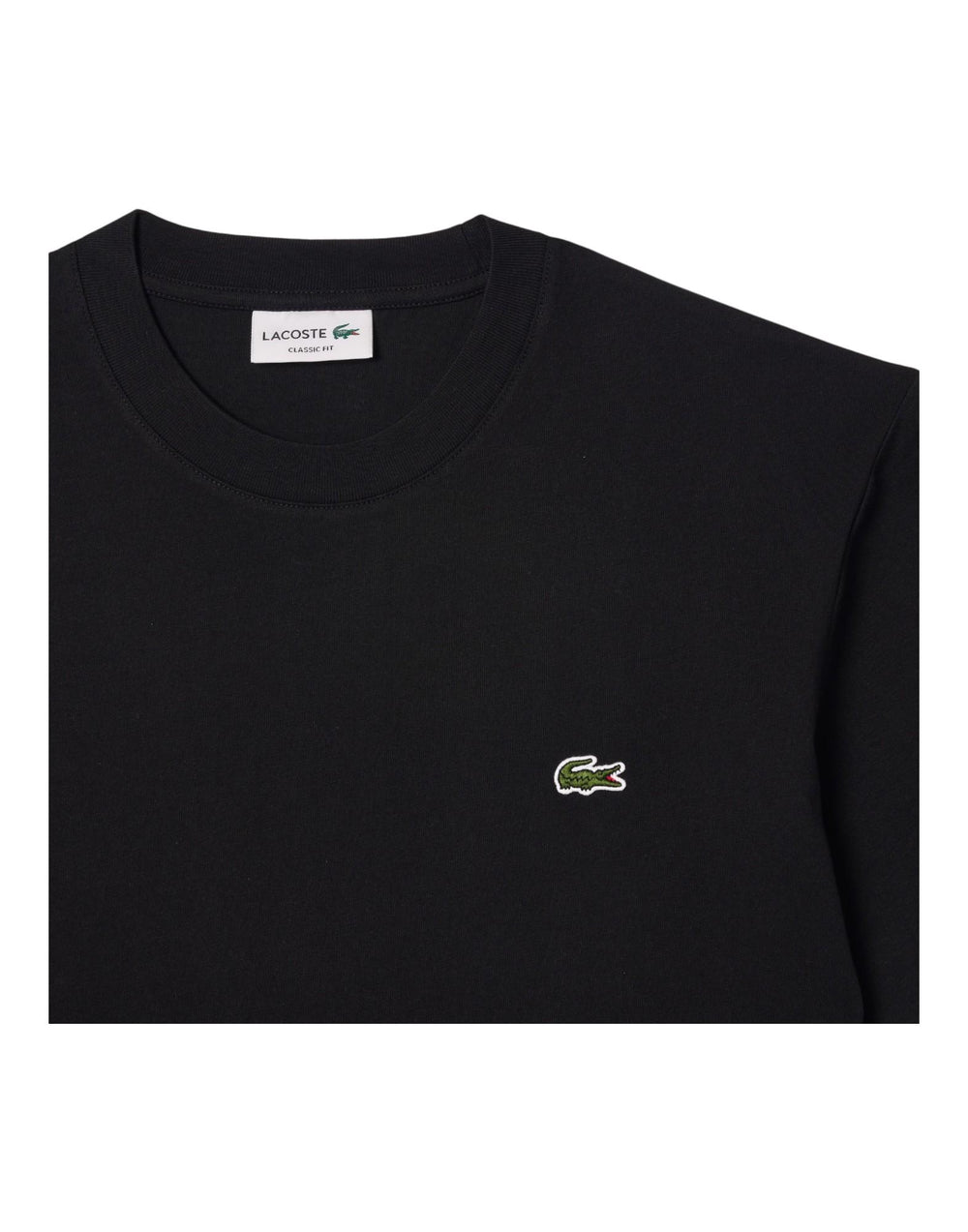 TH7318 031 TH7318 TH7318 031 Lacoste 