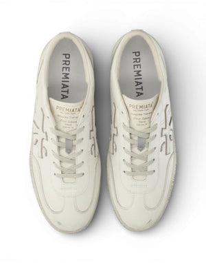 DAVID VAR 8091 8091  DAVID VAR 8091 8091 Premiata 