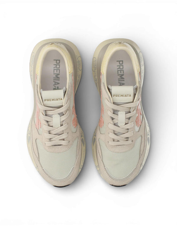 LAURYN VAR 8184 8184 Lauryn 8184 LAURYN VAR 8184 8184 Premiata 