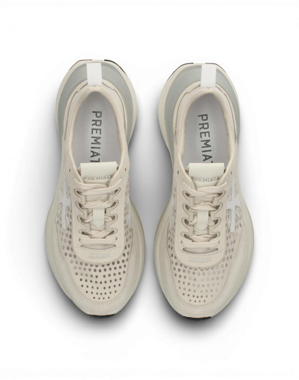 HILL VAR 8242 8242 Hill 8242 HILL VAR 8242 8242 Premiata 