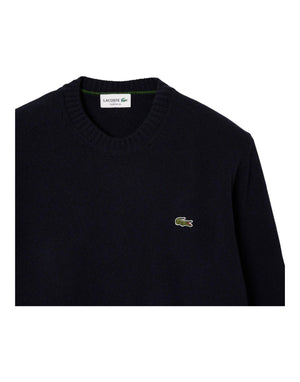 AH2916 166 Maglione AH2916 166 Lacoste 