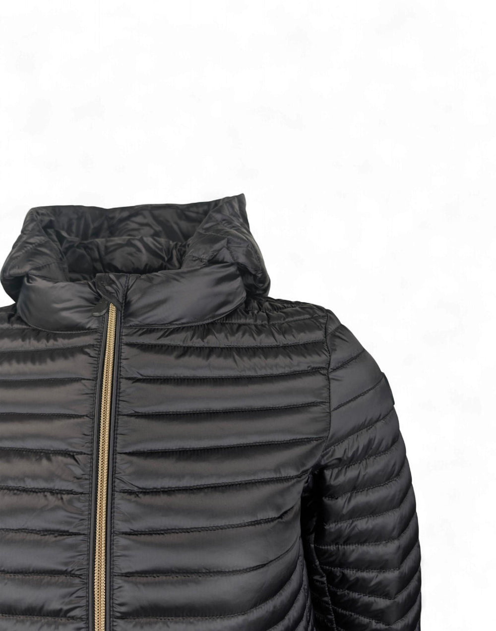 D41059W-IRIS22 ALIMA 10000 D41059W D41059W-IRIS22 ALIMA 10000 Save The Duck 